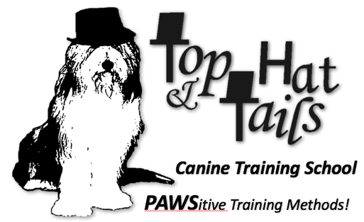 <br />&#8203;Top hat and tails&nbsp;<br />Canine Training School &nbsp; &nbsp; &nbsp; &nbsp; &nbsp; &nbsp; &nbsp; &nbsp; &nbsp; &nbsp; &nbsp; &nbsp; &nbsp; &nbsp; &nbsp; &nbsp; &nbsp; &nbsp; &nbsp; &nbsp; &nbsp; &nbsp; &nbsp; &nbsp;1.574.259.6460